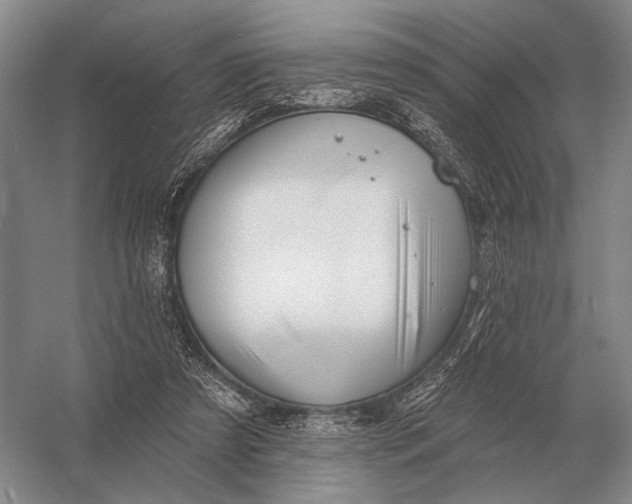 X0000056370305200509161901