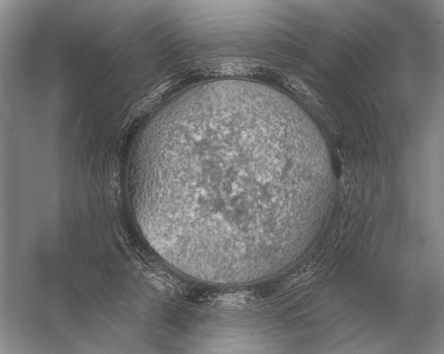 X0000056370306200509161901