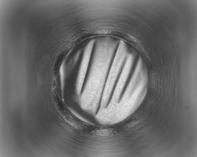 X0000056370307200509161901