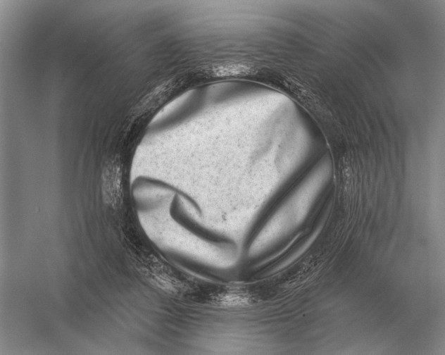 X0000056370308200509161901