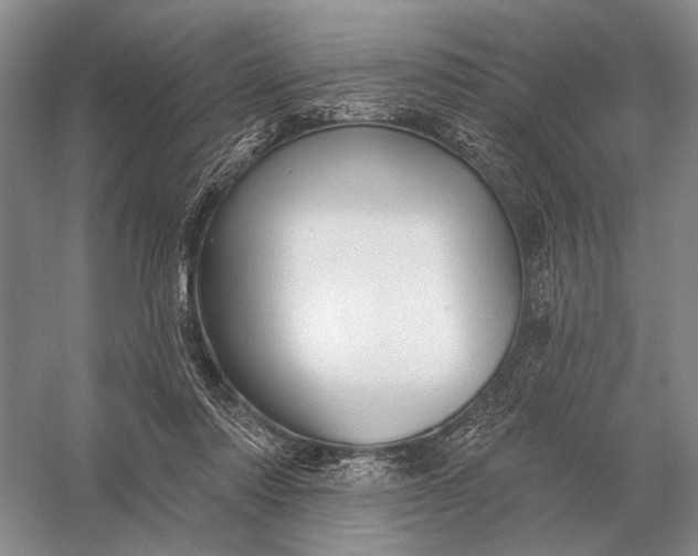 X0000056370310200509161901