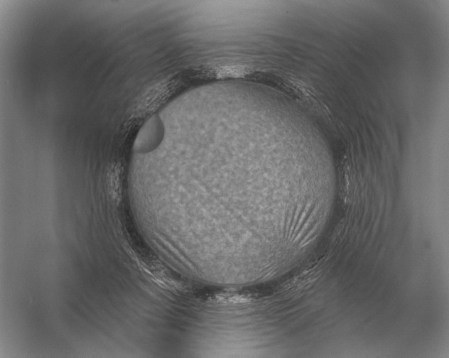 X0000056370311200509161901