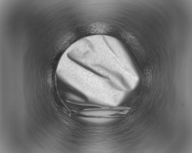 X0000056370312200509161901