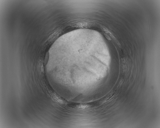 X0000056370313200509161901