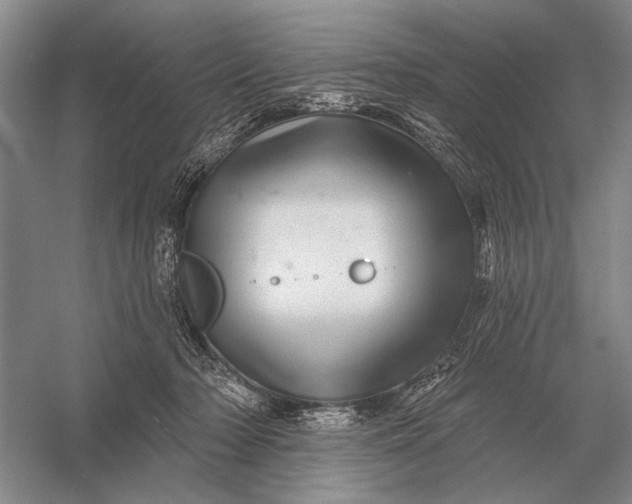 X0000056370318200509161901