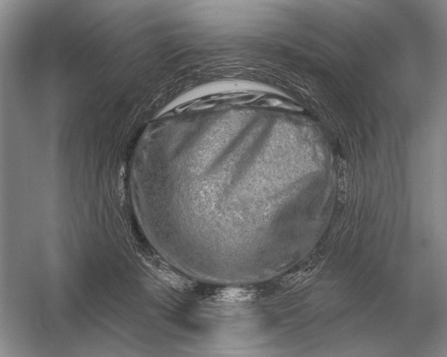 X0000056370319200509161901