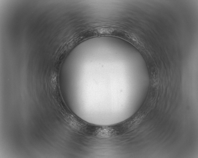 X0000056370321200509161901