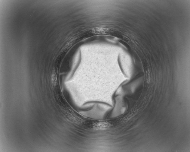 X0000056370324200509161901