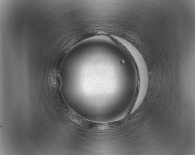 X0000056370325200509161901