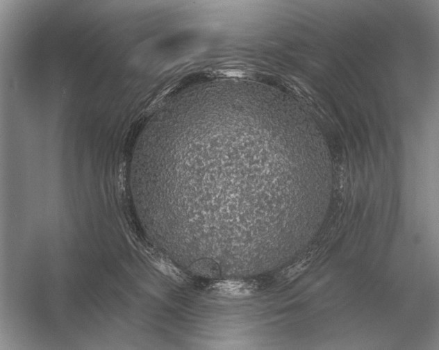 X0000056370326200509161901