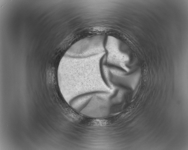 X0000056370328200509161901