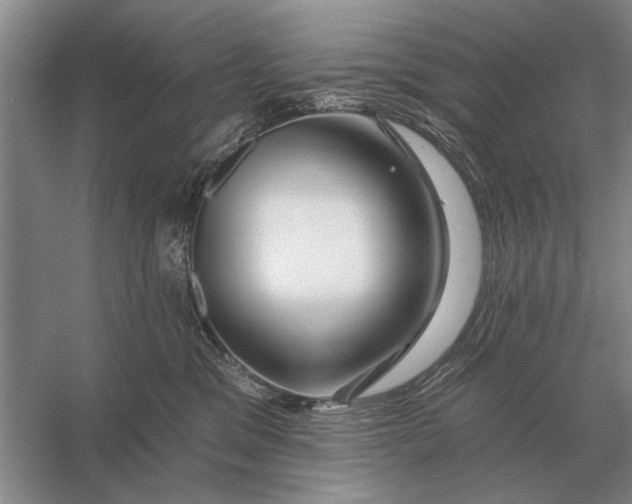 X0000056370329200509161901