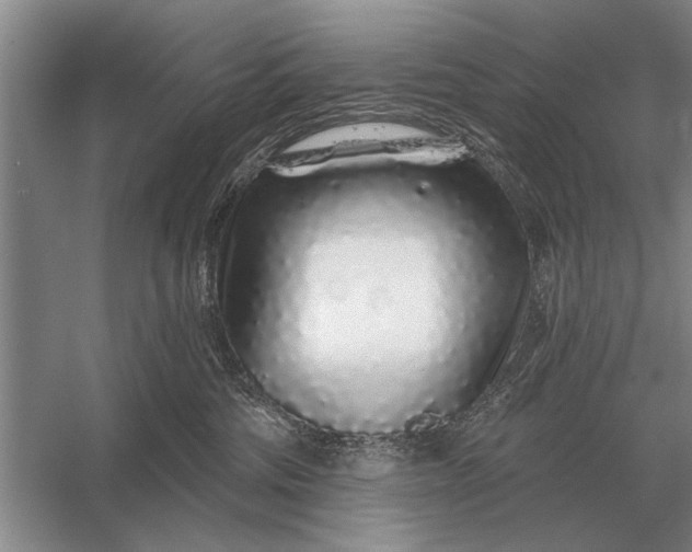 X0000056370330200509161901