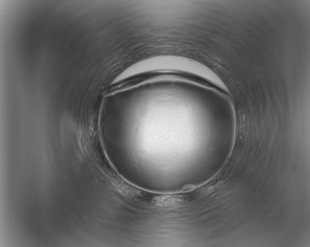 X0000056370331200509161901