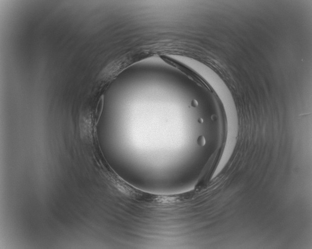 X0000056370333200509161901