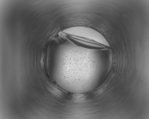 X0000056370334200509161901