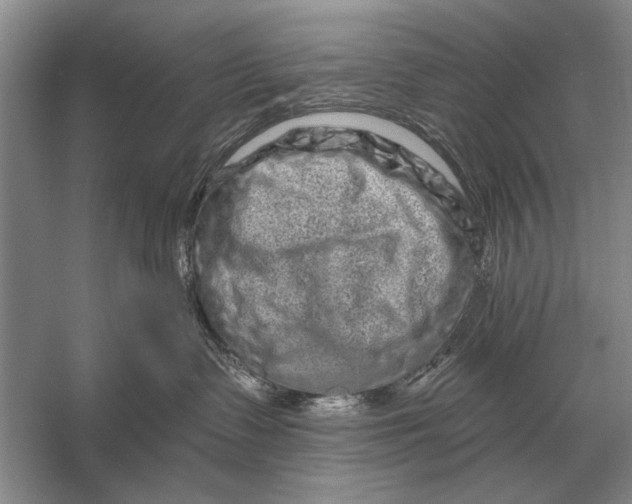 X0000056370335200509161901