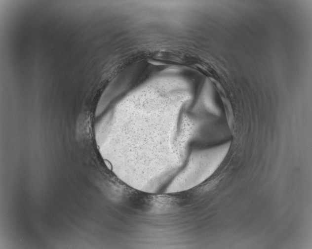 X0000056370336200509161901