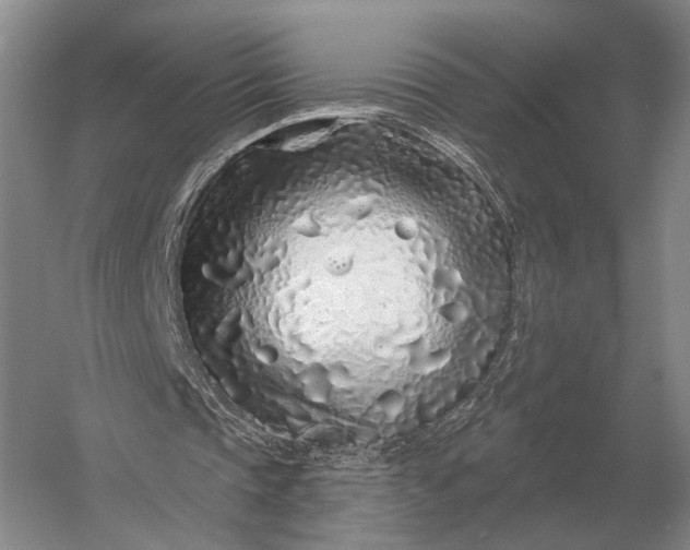 X0000056370337200509161900