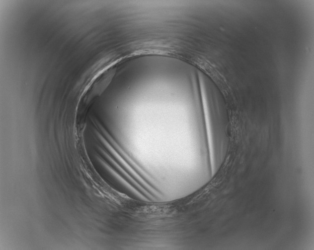 X0000056370338200509161900