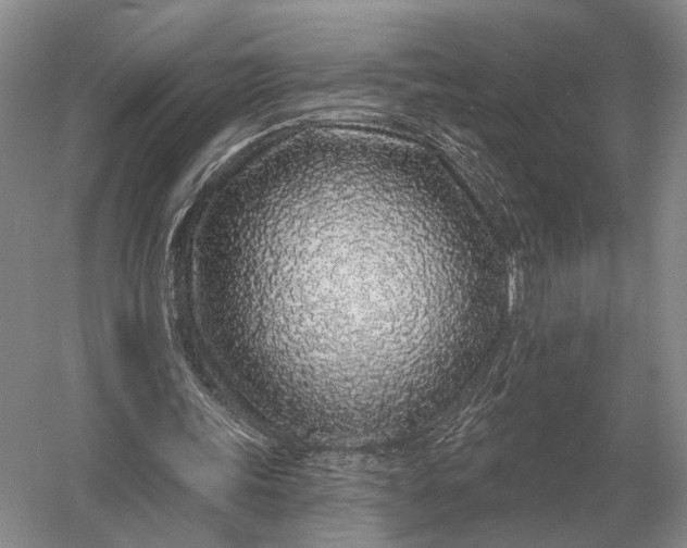 X0000056370339200509161900