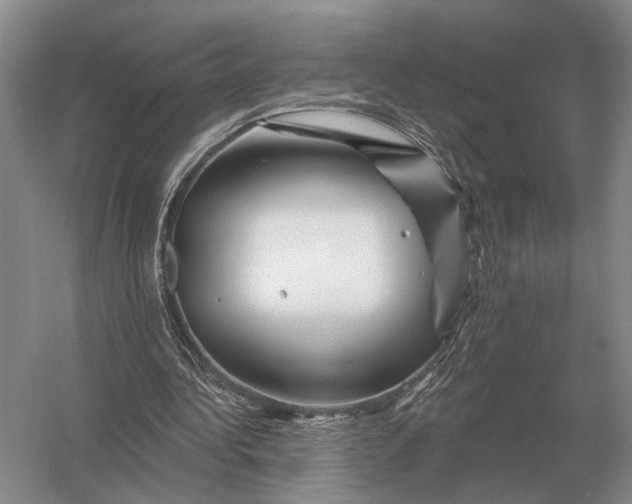 X0000056370340200509161900