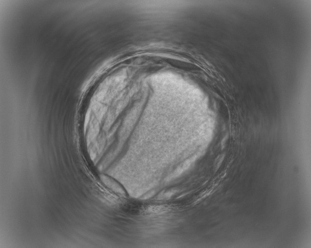 X0000056370341200509161900