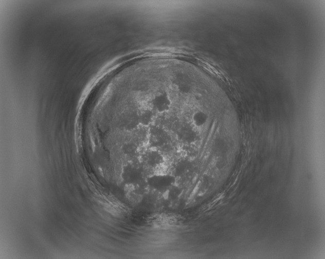 X0000056370343200509161900