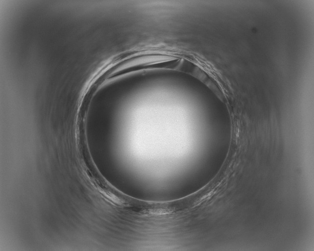 X0000056370344200509161900