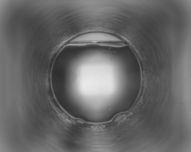 X0000056370345200509161900