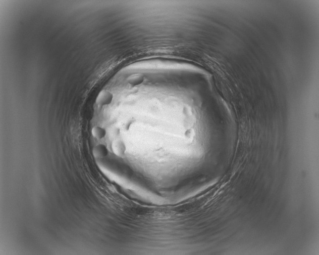 X0000056370346200509161900