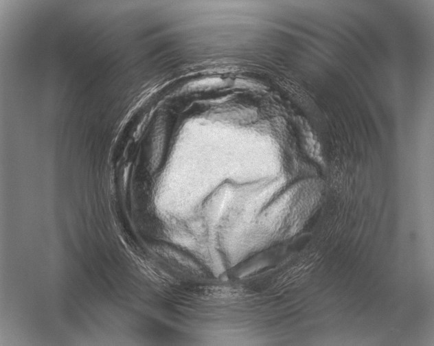 X0000056370347200509161900