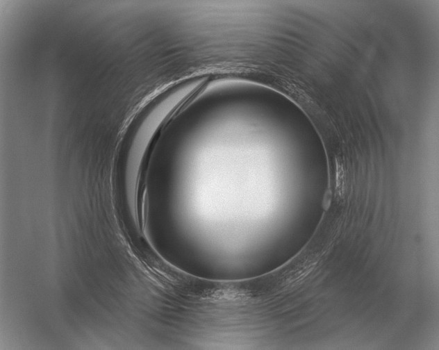 X0000056370348200509161900