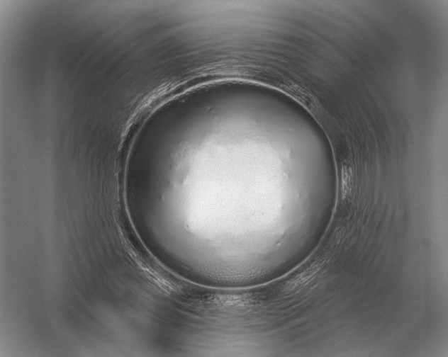 X0000056370349200509161900