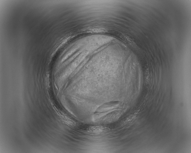 X0000056370351200509161900