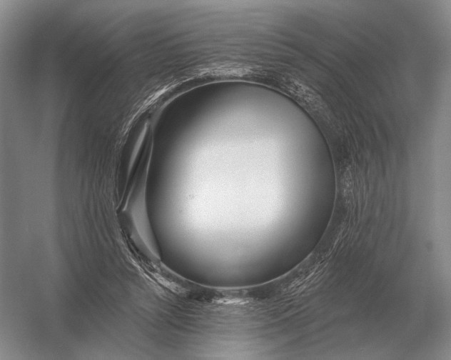 X0000056370352200509161900