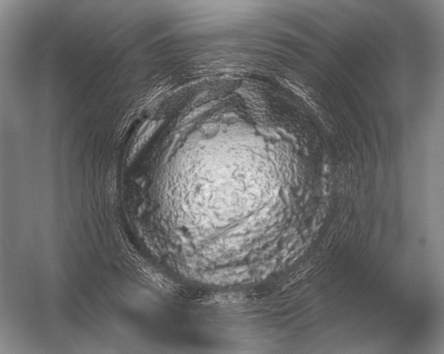 X0000056370353200509161900