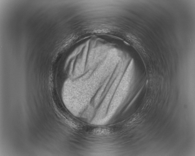 X0000056370354200509161900