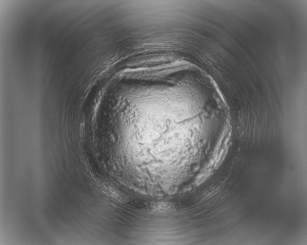 X0000056370355200509161900