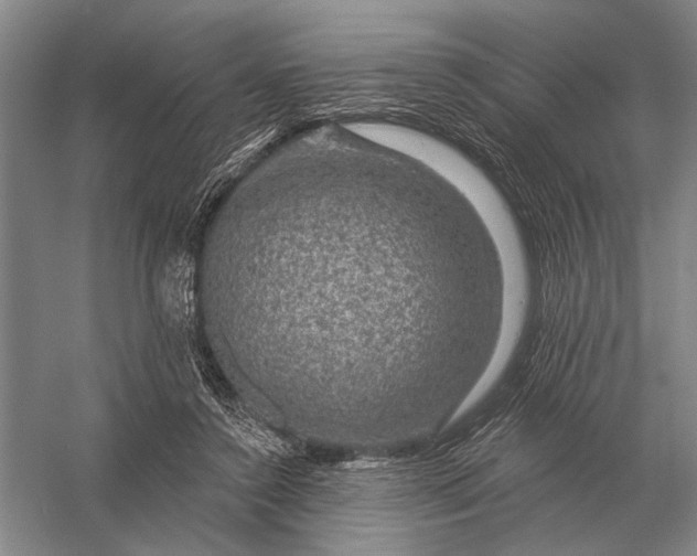 X0000056370356200509161900