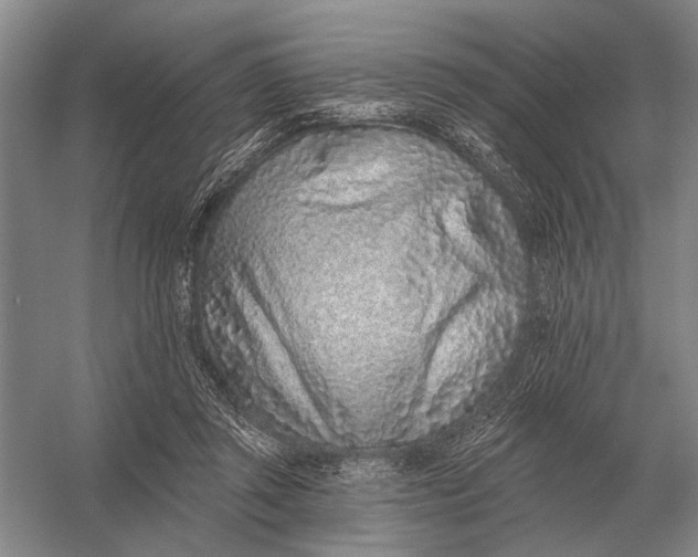 X0000056370357200509161900