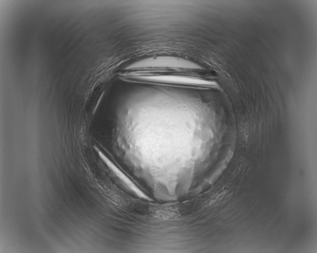 X0000056370359200509161900