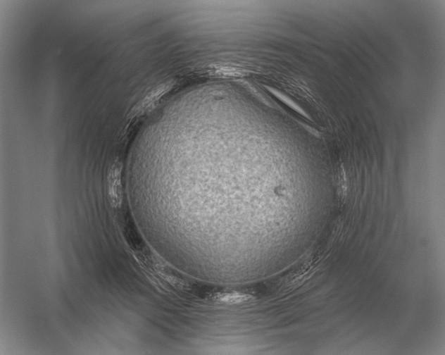 X0000056370360200509161900