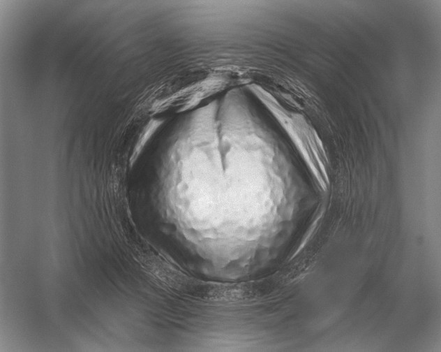 X0000056370361200509161900