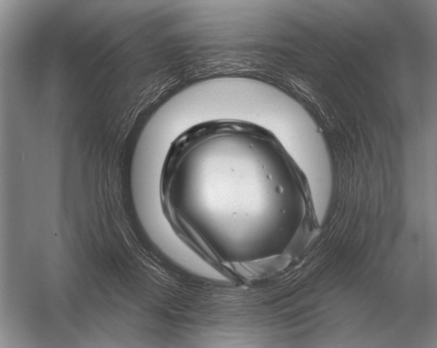 X0000056370362200509161900