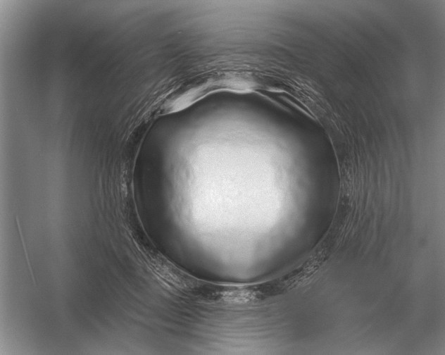 X0000056370363200509161900