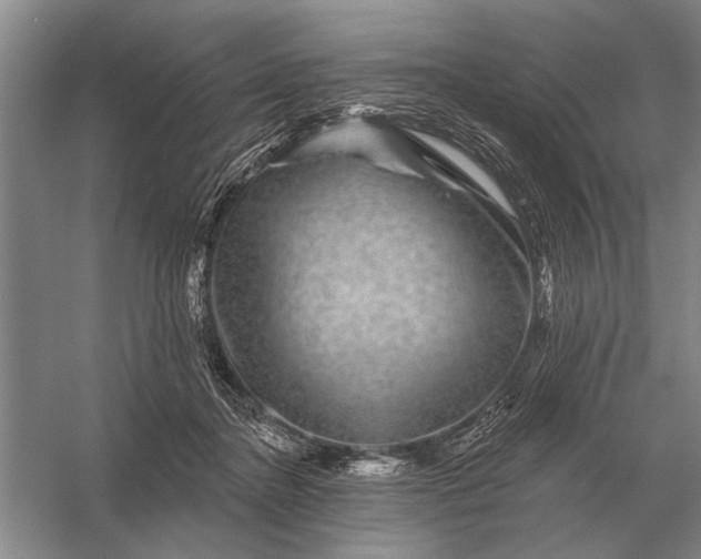 X0000056370364200509161900