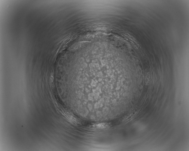 X0000056370365200509161900