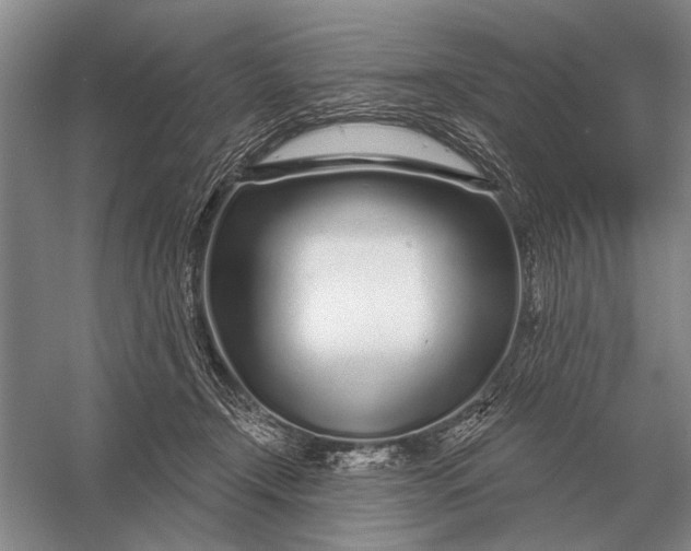 X0000056370366200509161900