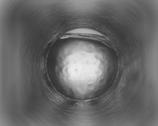 X0000056370367200509161900